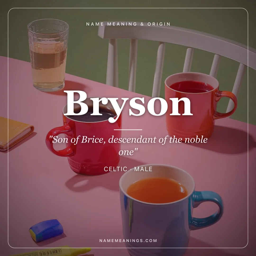 Bryson name meaning "Son of Brice, descendant of the noble one" - Celtic male name share card | NameMeanings