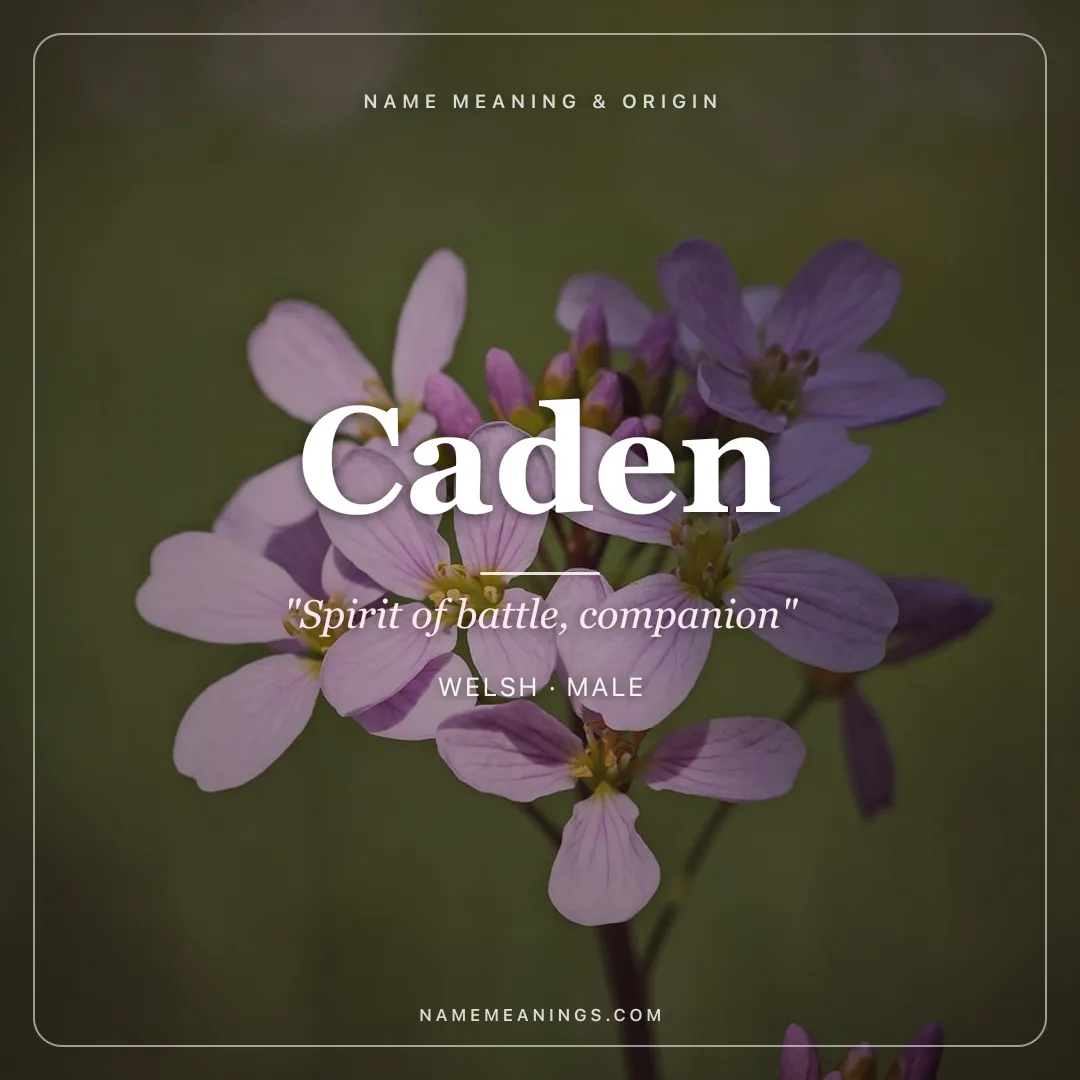 Caden name meaning "Spirit of battle, companion" - Welsh, Irish male name share card | NameMeanings