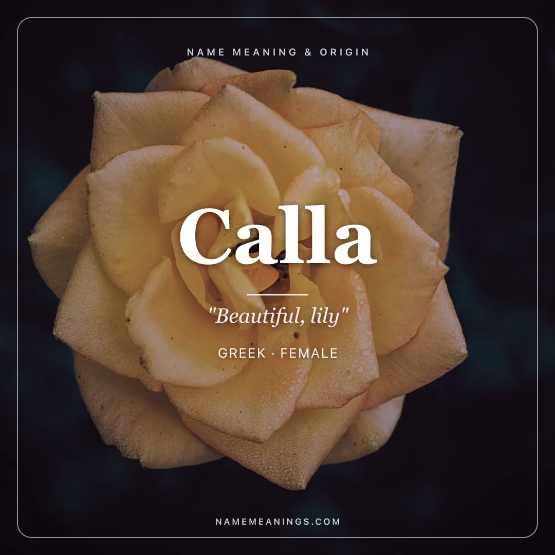 Calla name meaning "Beautiful, lily" - Greek female name share card | NameMeanings