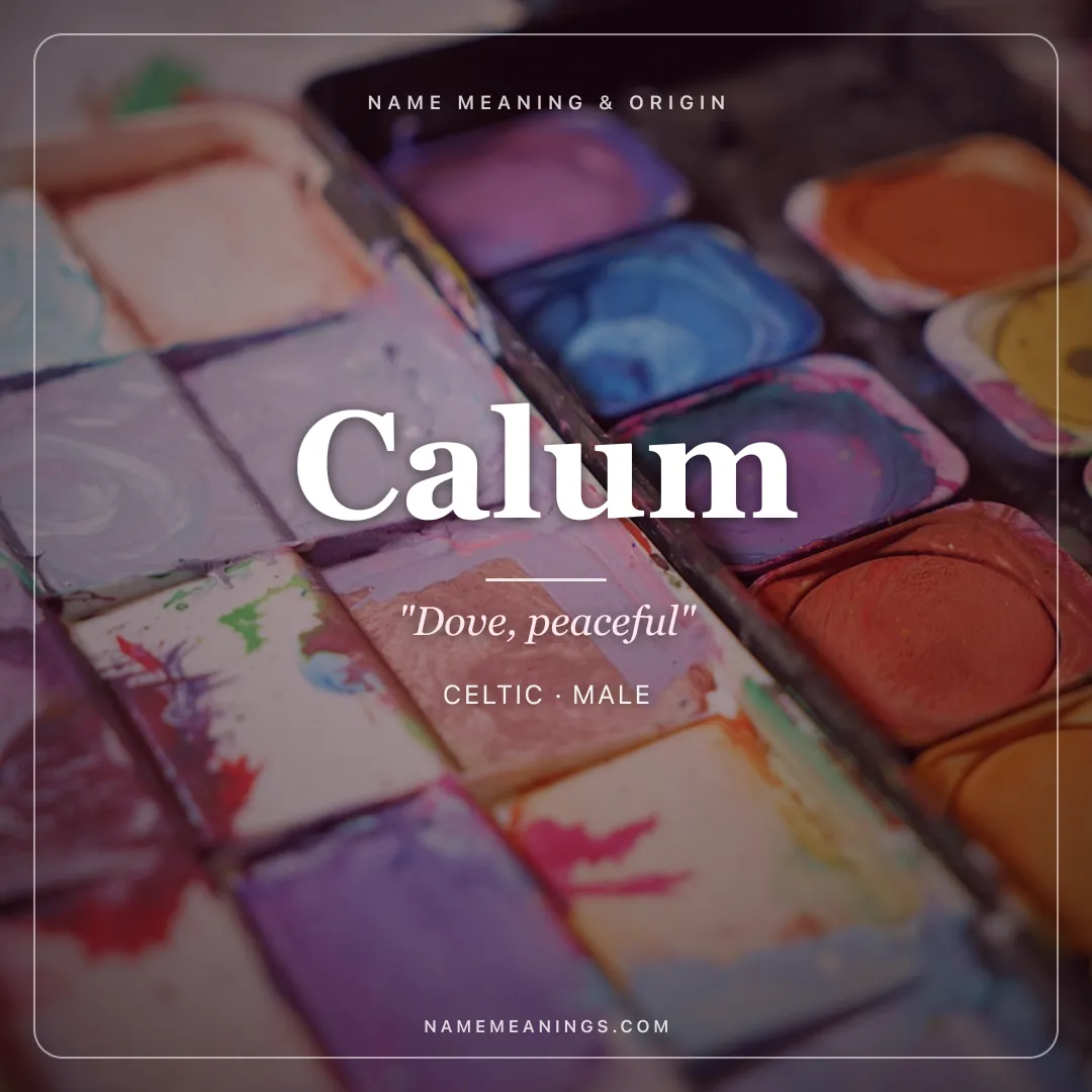 Calum name meaning "Dove, peaceful" - Celtic male name share card | NameMeanings
