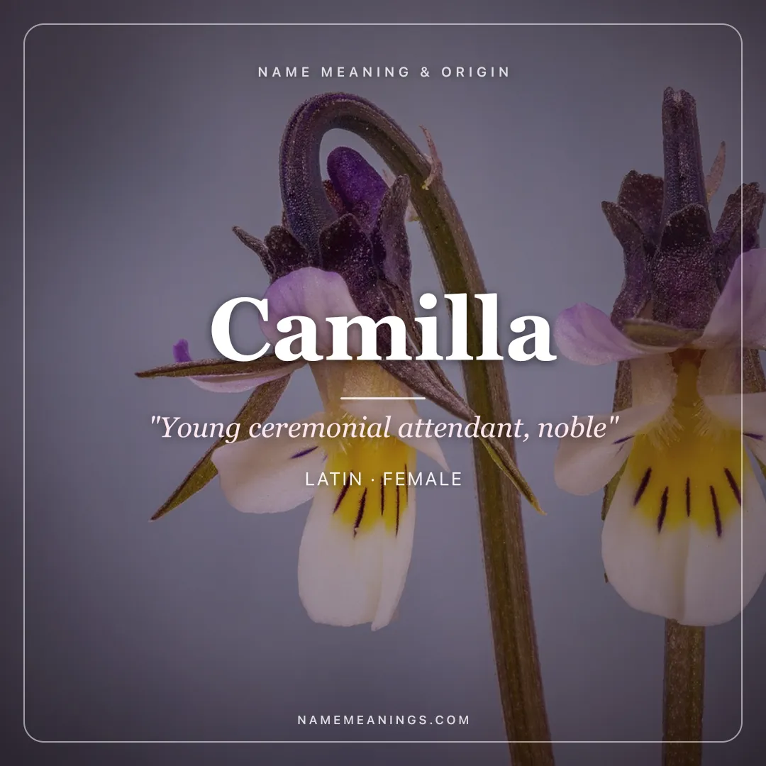 Camilla name meaning "Young ceremonial attendant, noble" - Latin female name share card | NameMeanings