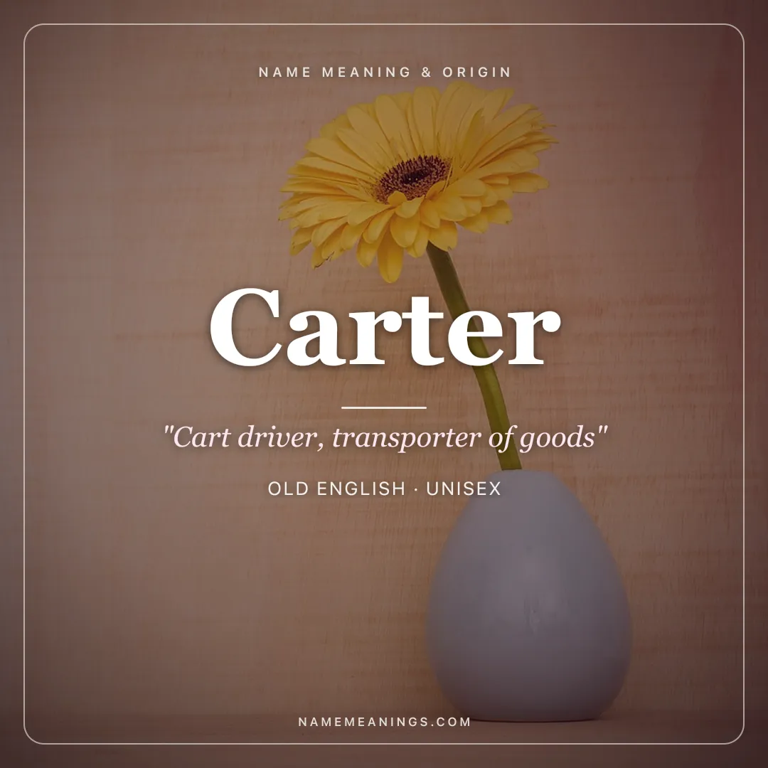 Carter name meaning "Cart driver, transporter of goods" - Old English unisex name share card | NameMeanings