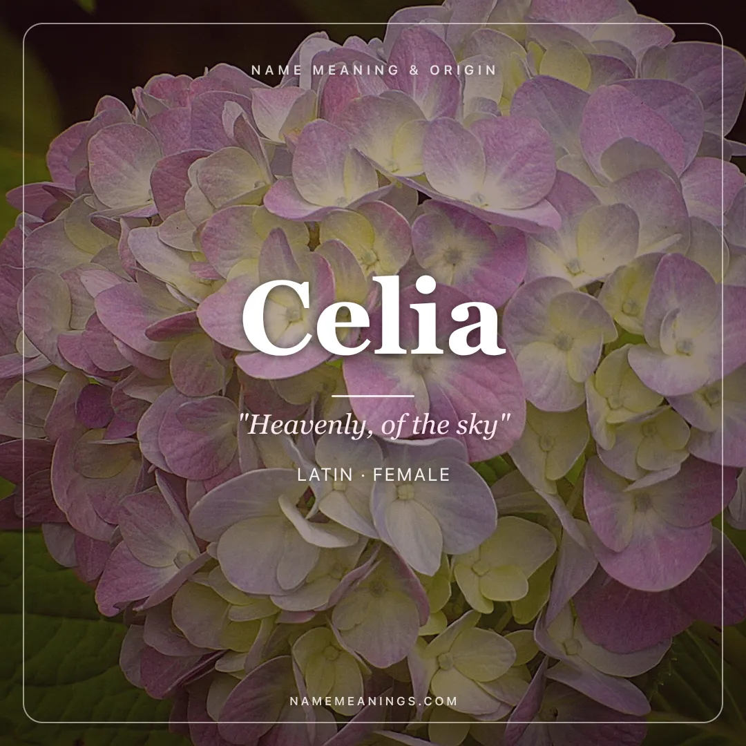 Celia name meaning "Heavenly, of the sky" - Latin female name share card | NameMeanings