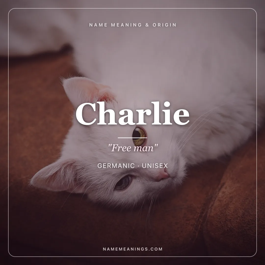 Charlie name meaning "Free man" - Germanic unisex name share card | NameMeanings