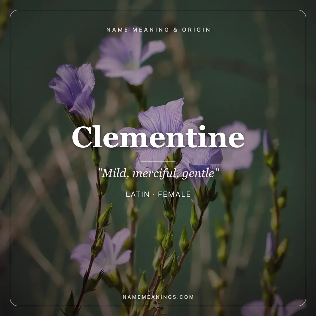 Clementine name meaning "Mild, merciful, gentle" - Latin, French female name share card | NameMeanings