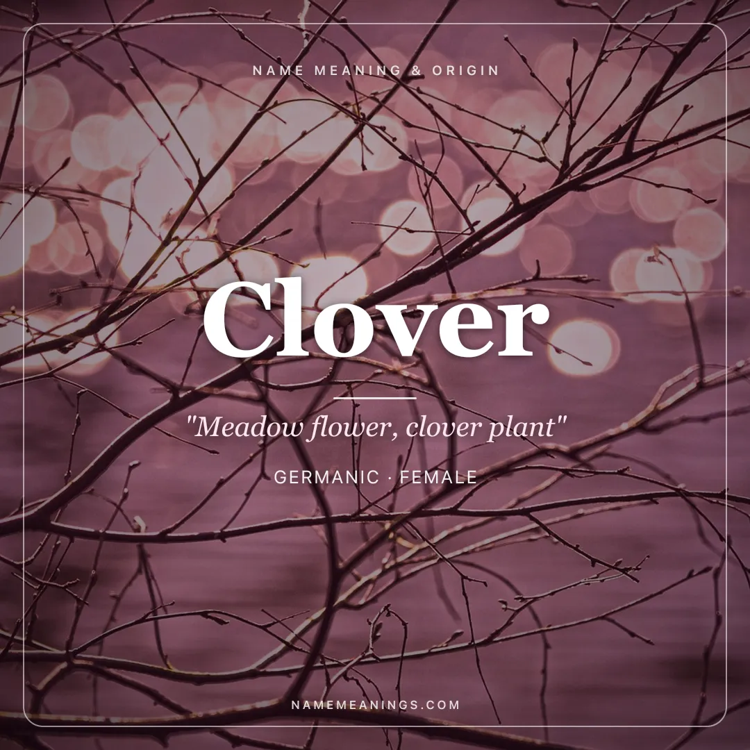 Clover name meaning "Meadow flower, clover plant" - Germanic female name share card | NameMeanings
