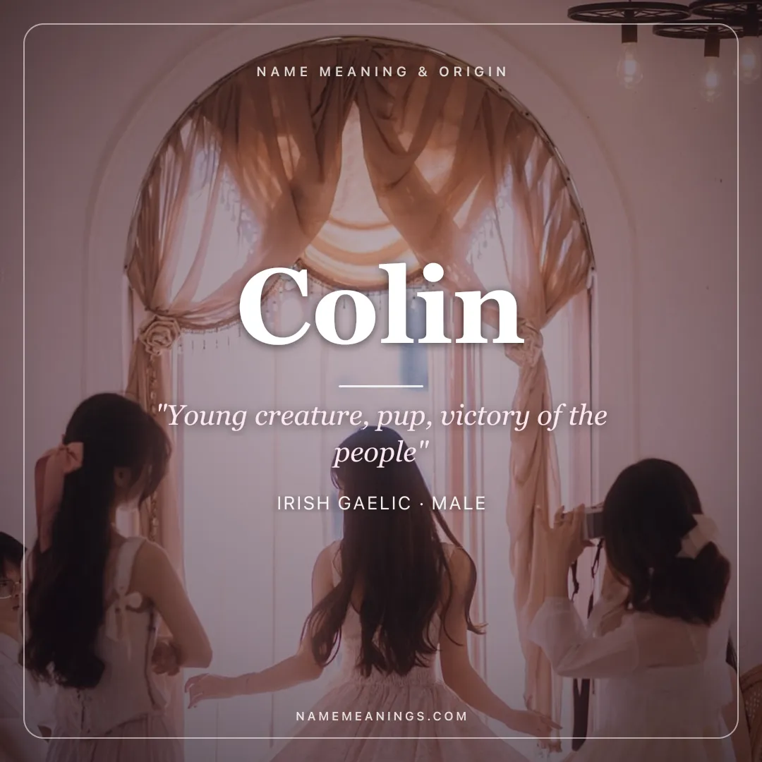 Colin name meaning "Young creature, pup, victory of the people" - Irish Gaelic, Scottish male name share card | NameMeanings