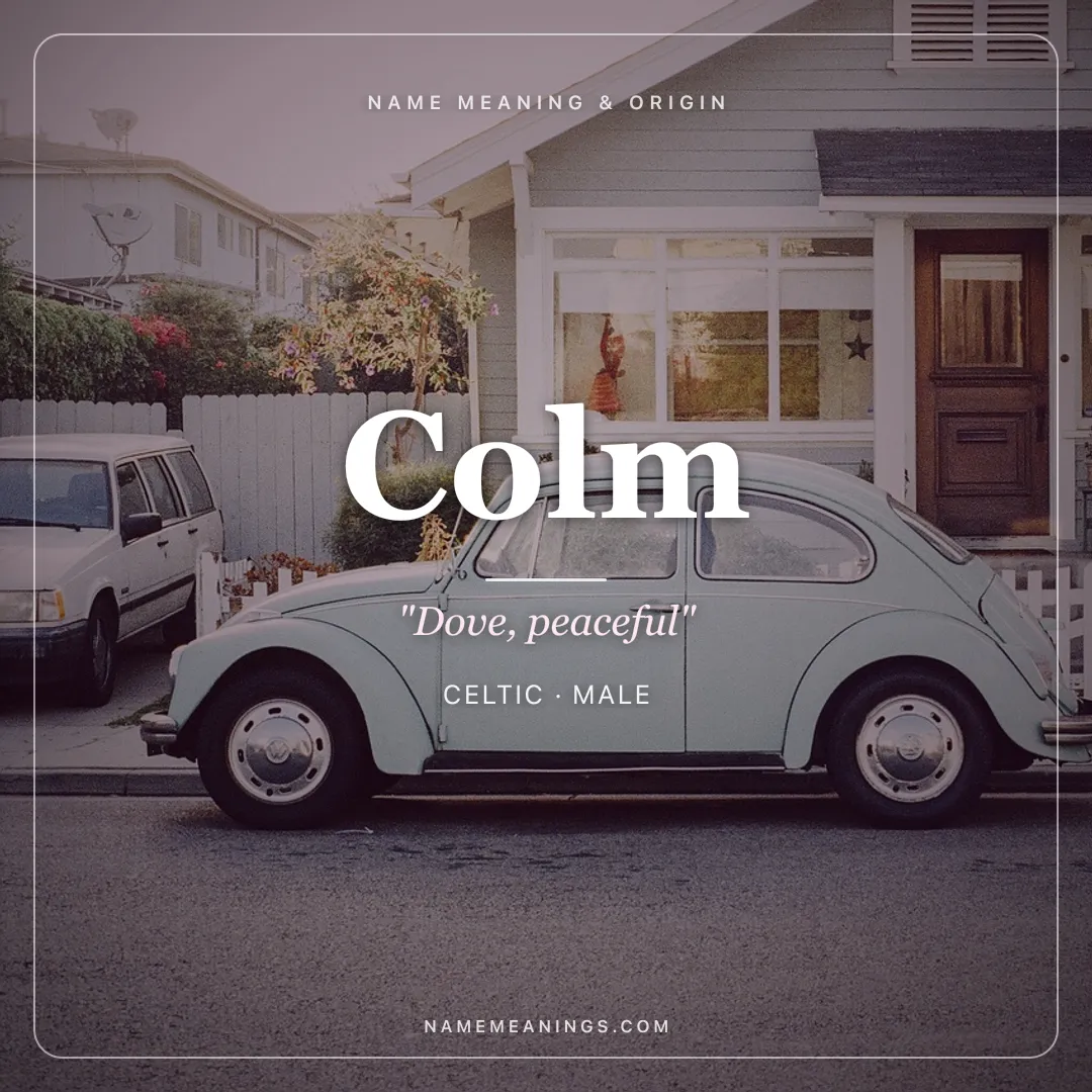 Colm name meaning "Dove, peaceful" - Celtic male name share card | NameMeanings
