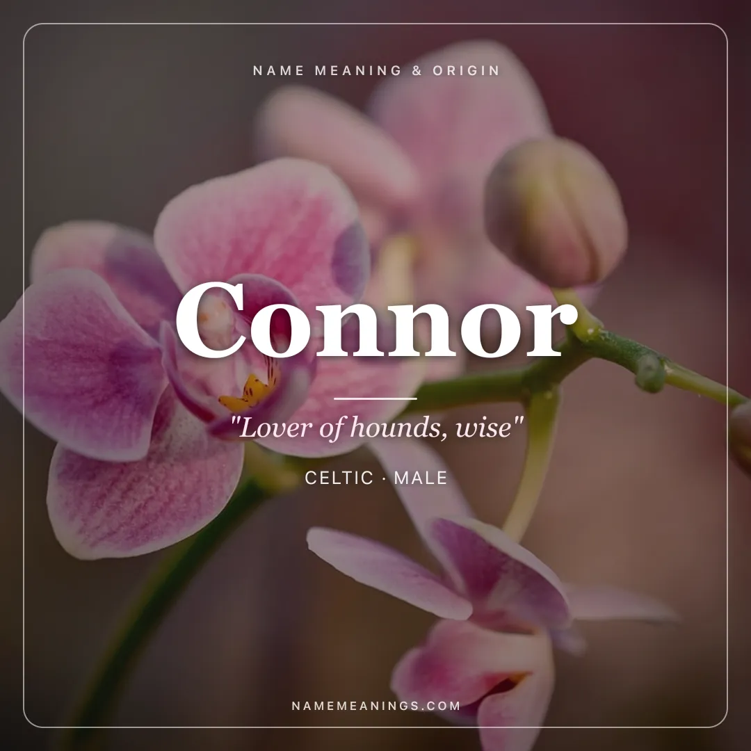 Connor name meaning "Lover of hounds, wise" - Celtic male name share card | NameMeanings