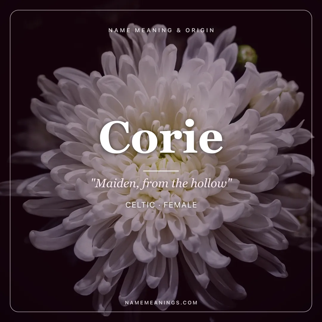 Corie name meaning "Maiden, from the hollow" - Celtic female name share card | NameMeanings