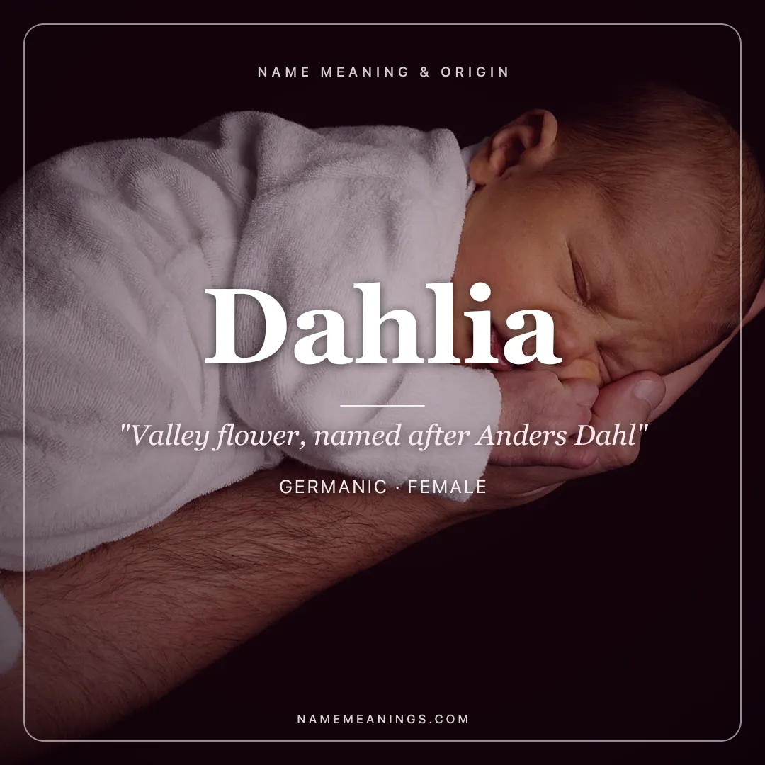 Dahlia name meaning "Valley flower, named after Anders Dahl" - Germanic female name share card | NameMeanings