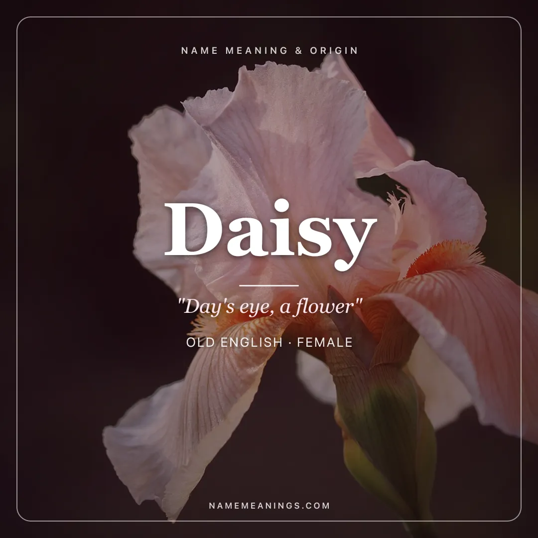 Daisy name meaning "Day's eye, a flower" - Old English female name share card | NameMeanings