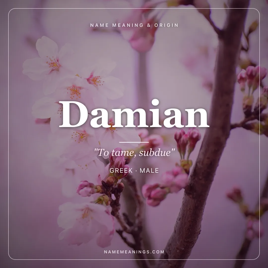 Damian name meaning "To tame, subdue" - Greek male name share card | NameMeanings