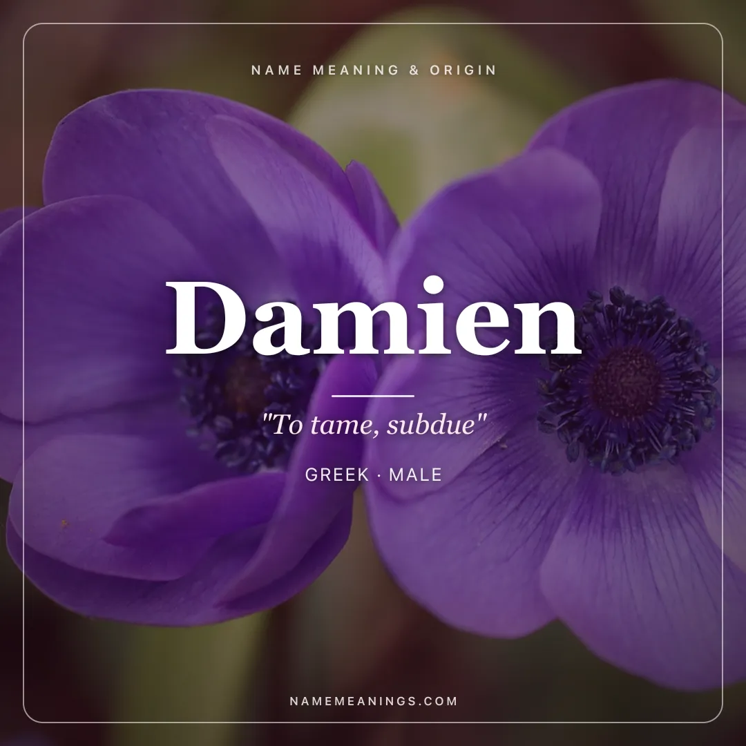 Damien name meaning "To tame, subdue" - Greek male name share card | NameMeanings
