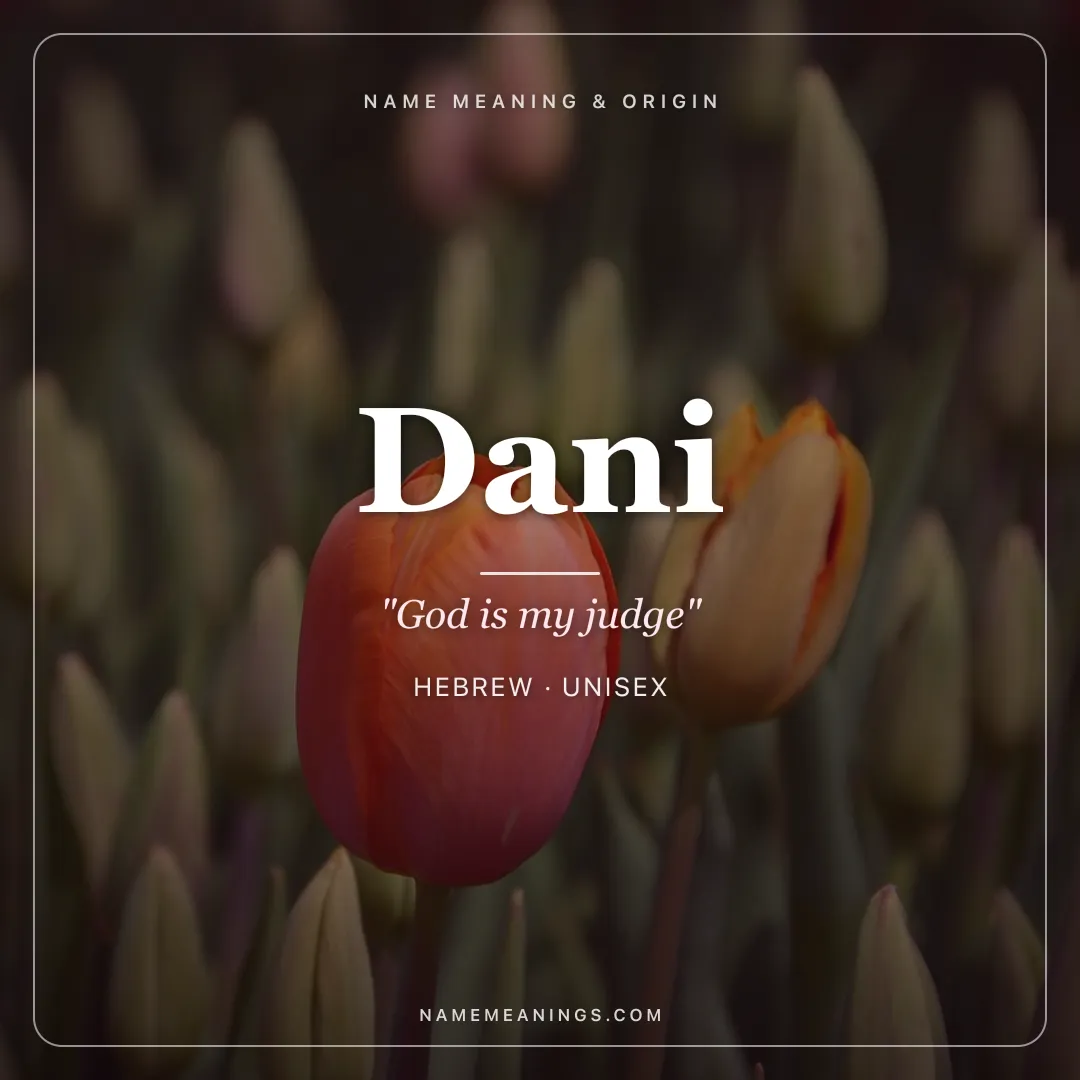 Dani name meaning "God is my judge" - Hebrew unisex name share card | NameMeanings
