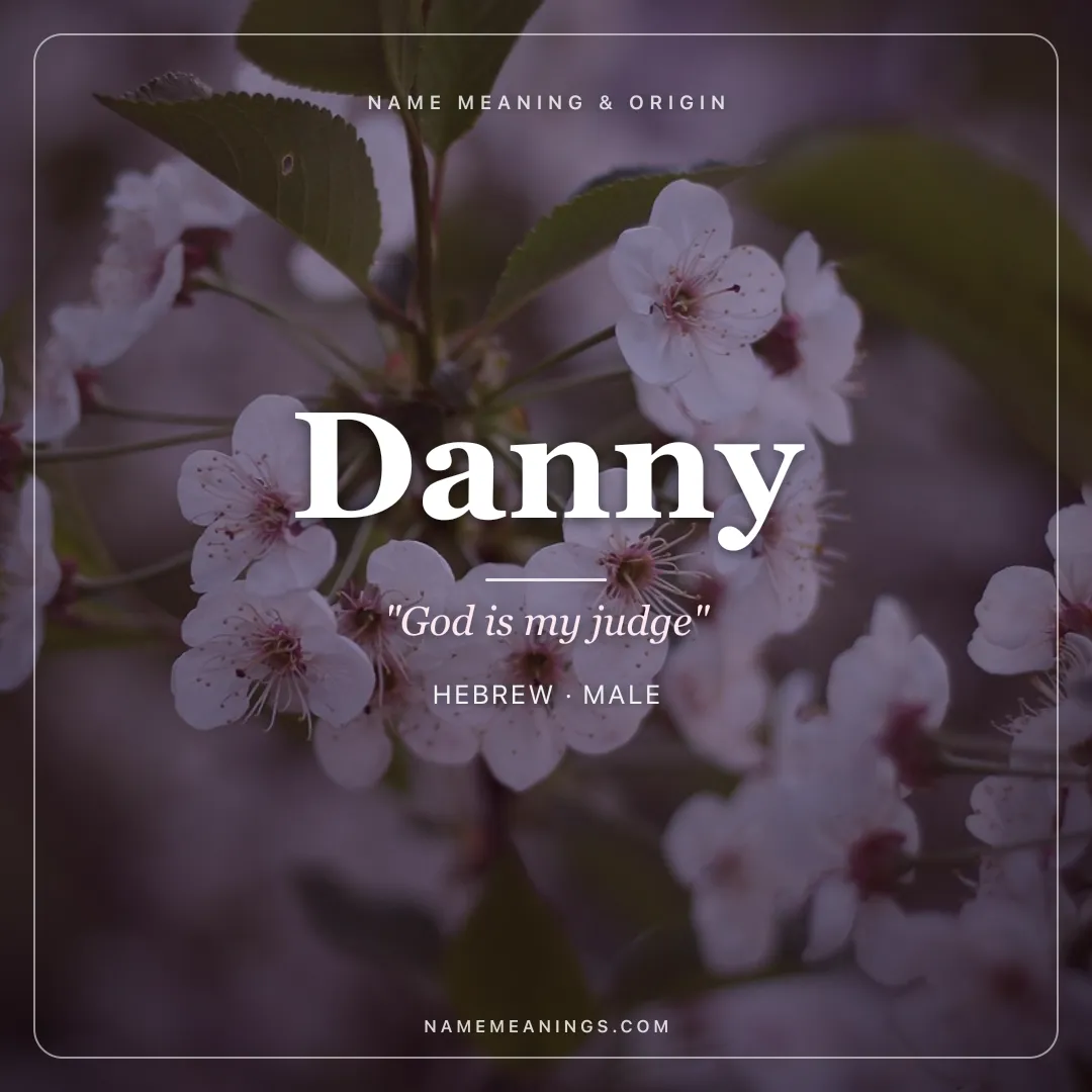 Danny name meaning "God is my judge" - Hebrew male name share card | NameMeanings