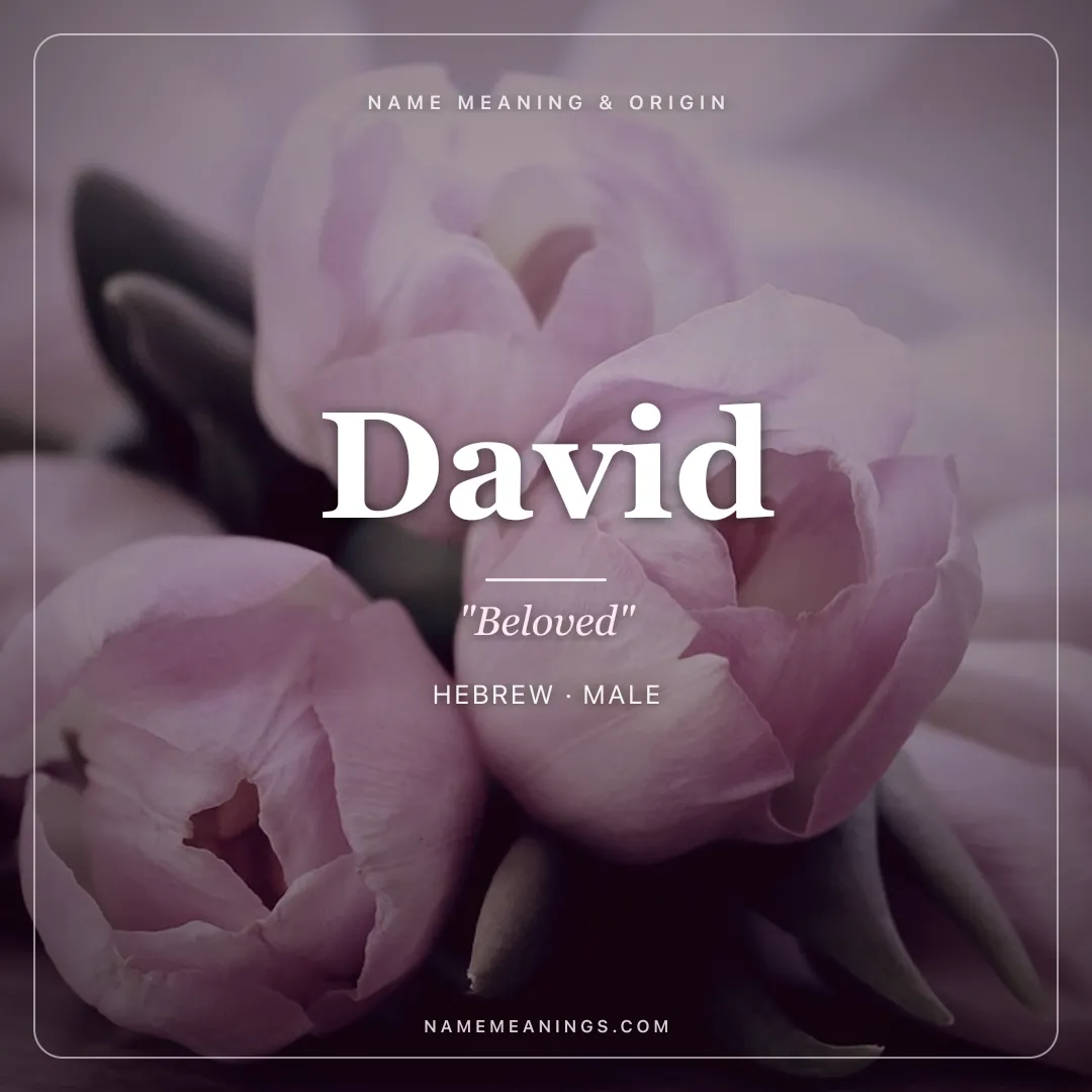 David name meaning "Beloved" - Hebrew male name share card | NameMeanings