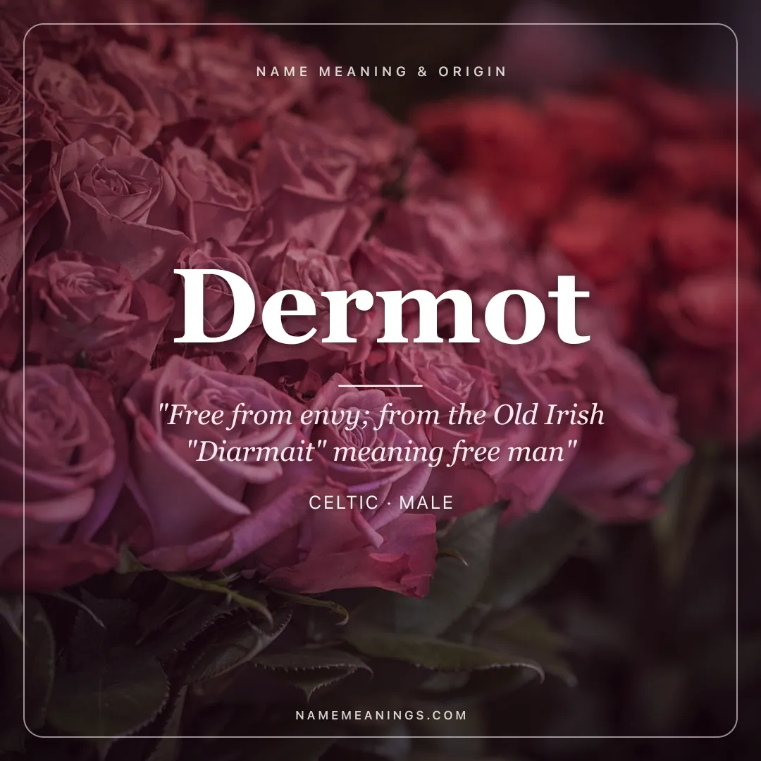 Dermot name meaning "Free from envy; from the Old Irish "Diarmait" meaning free man" - Celtic male name share card | NameMeanings