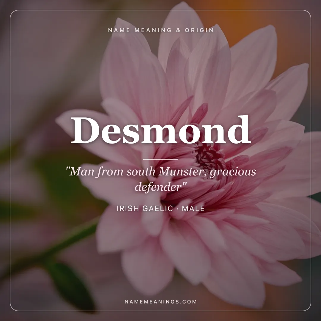 Desmond name meaning "Man from south Munster, gracious defender" - Irish Gaelic male name share card | NameMeanings