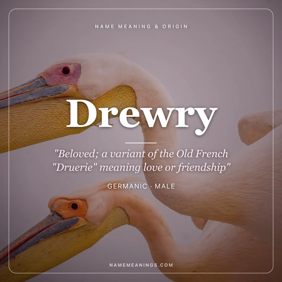 Drewry name meaning "Beloved; a variant of the Old French "Druerie" meaning love or friendship" - Germanic male name share card | NameMeanings