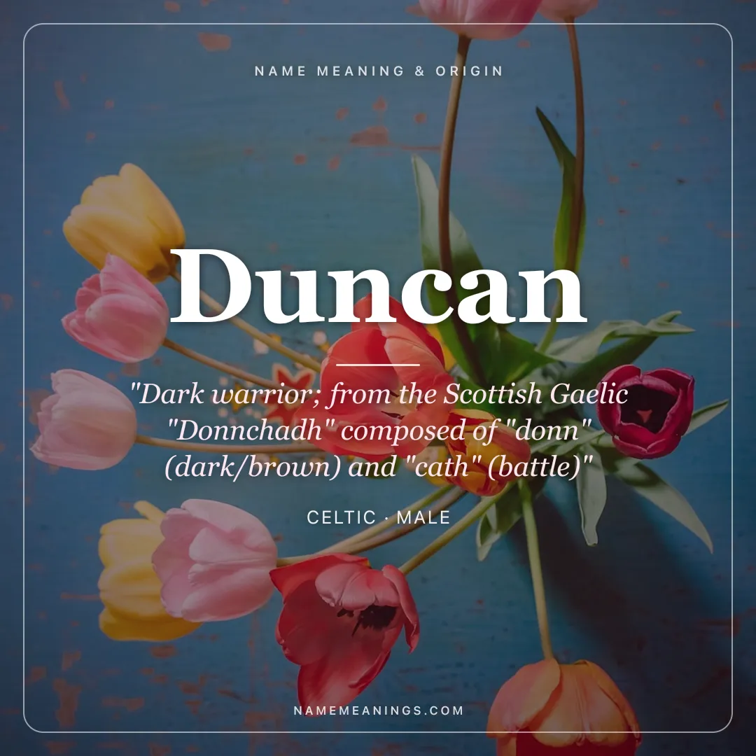 Duncan name meaning "Dark warrior; from the Scottish Gaelic "Donnchadh" composed of "donn" (dark/brown) and "cath" (battle)" - Celtic male name share card | NameMeanings