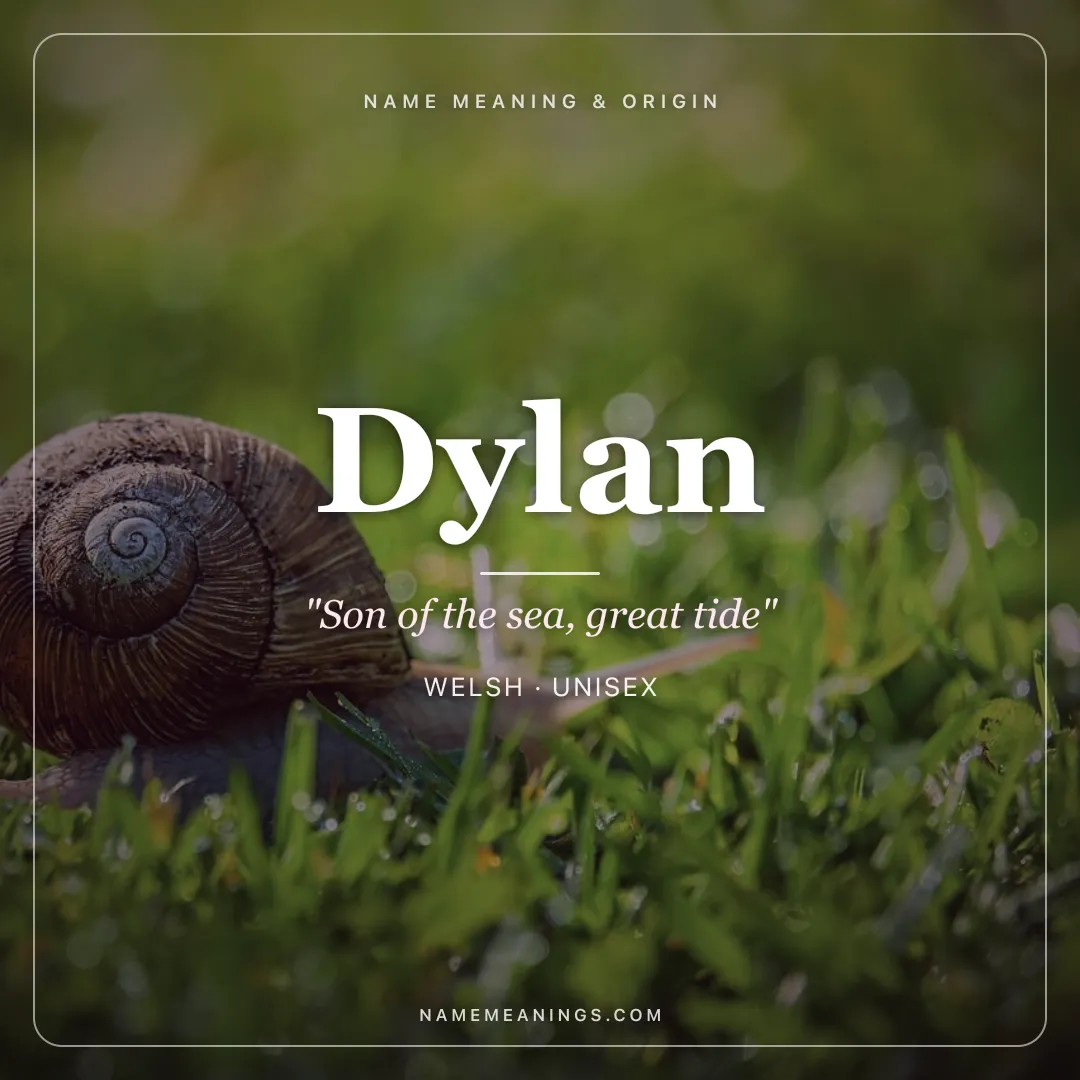Dylan name meaning "Son of the sea, great tide" - Welsh unisex name share card | NameMeanings