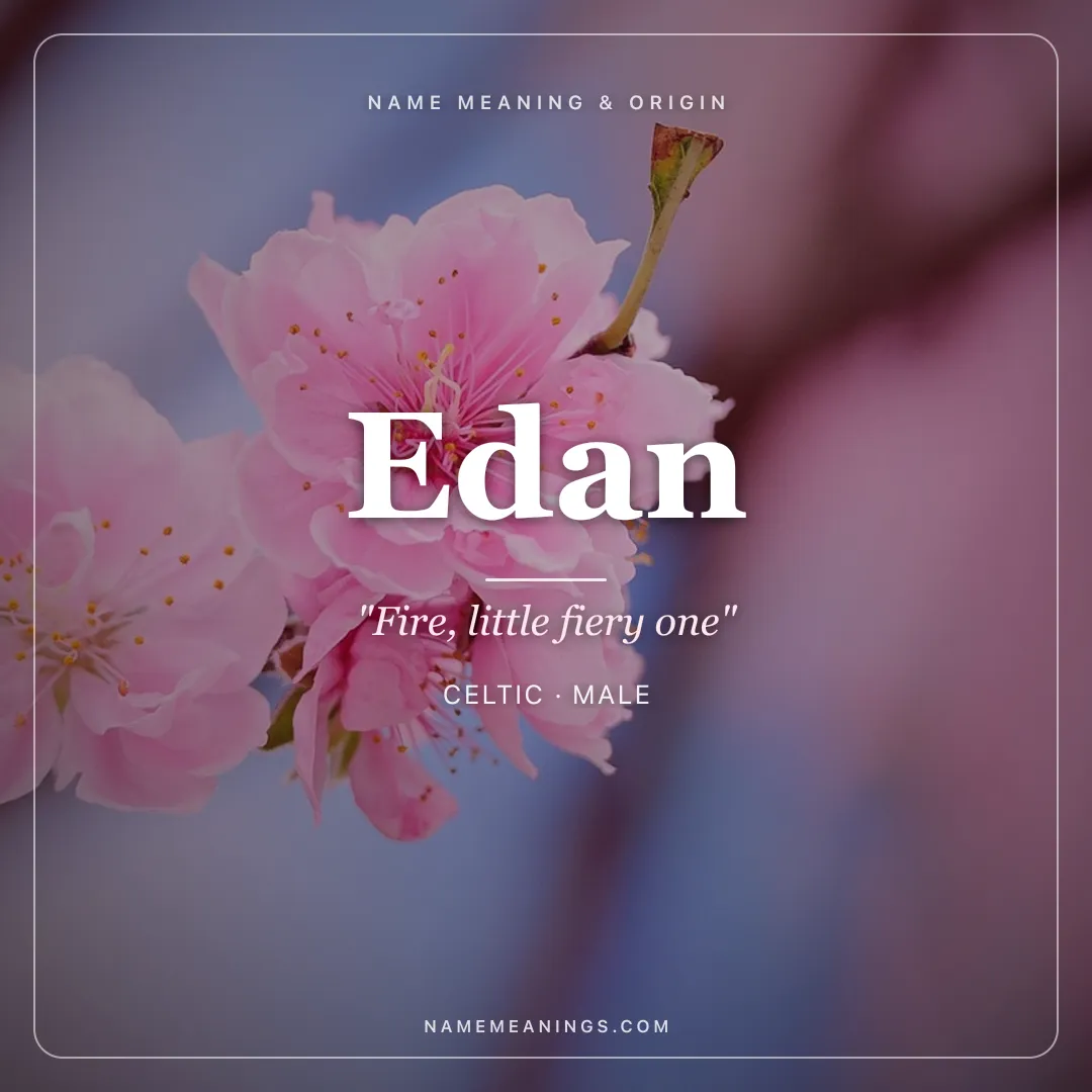 Edan name meaning "Fire, little fiery one" - Celtic, Irish male name share card | NameMeanings