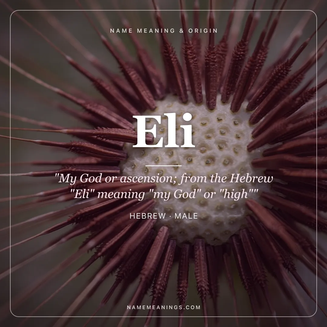 Eli name meaning "My God or ascension; from the Hebrew "Eli" meaning "my God" or "high"" - Hebrew male name share card | NameMeanings
