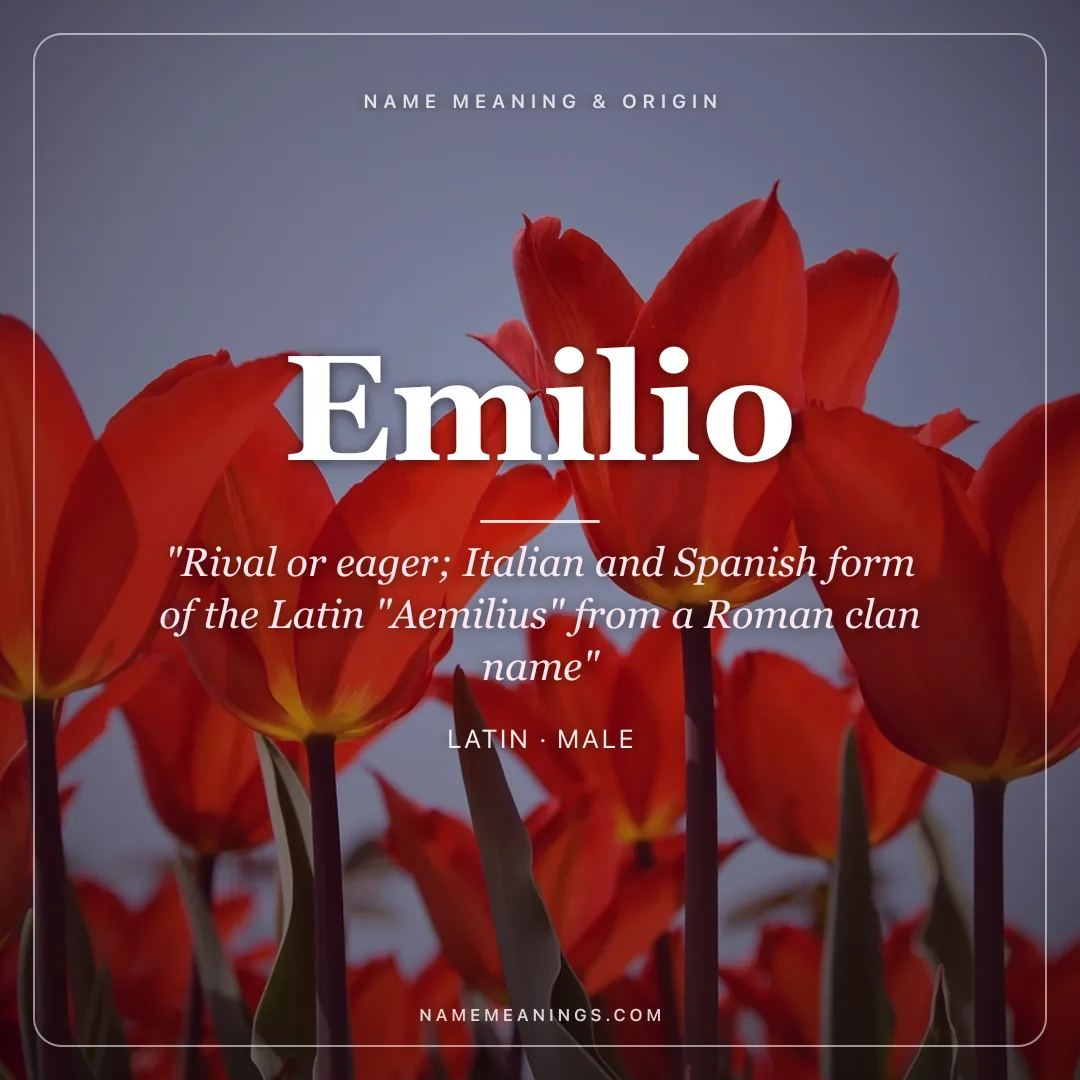 Emilio name meaning "Rival or eager; Italian and Spanish form of the Latin "Aemilius" from a Roman clan name" - Latin male name share card | NameMeanings