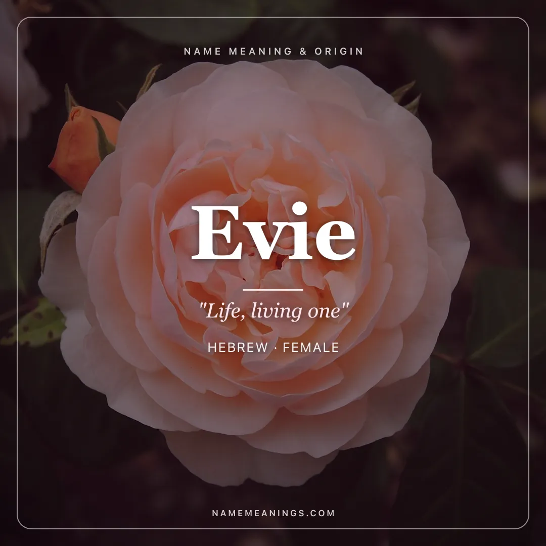 Evie name meaning "Life, living one" - Hebrew, English female name share card | NameMeanings