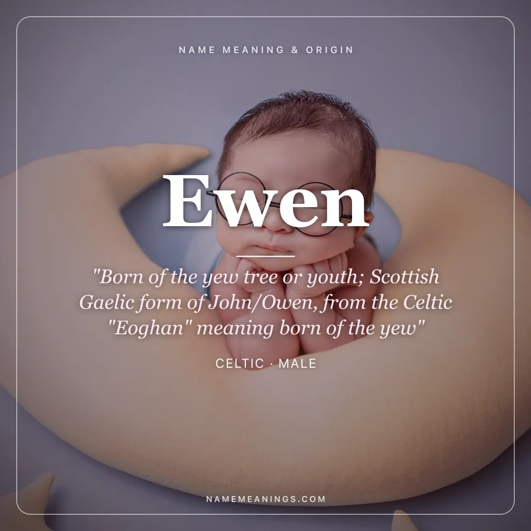 Ewen name meaning "Born of the yew tree or youth; Scottish Gaelic form of John/Owen, from the Celtic "Eoghan" meaning born of the yew" - Celtic male name share card | NameMeanings