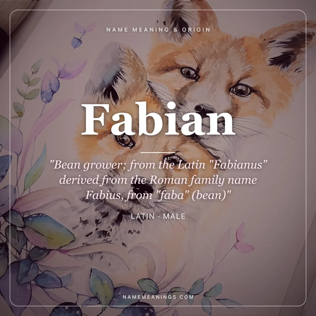 Fabian name meaning "Bean grower; from the Latin "Fabianus" derived from the Roman family name Fabius, from "faba" (bean)" - Latin male name share card | NameMeanings