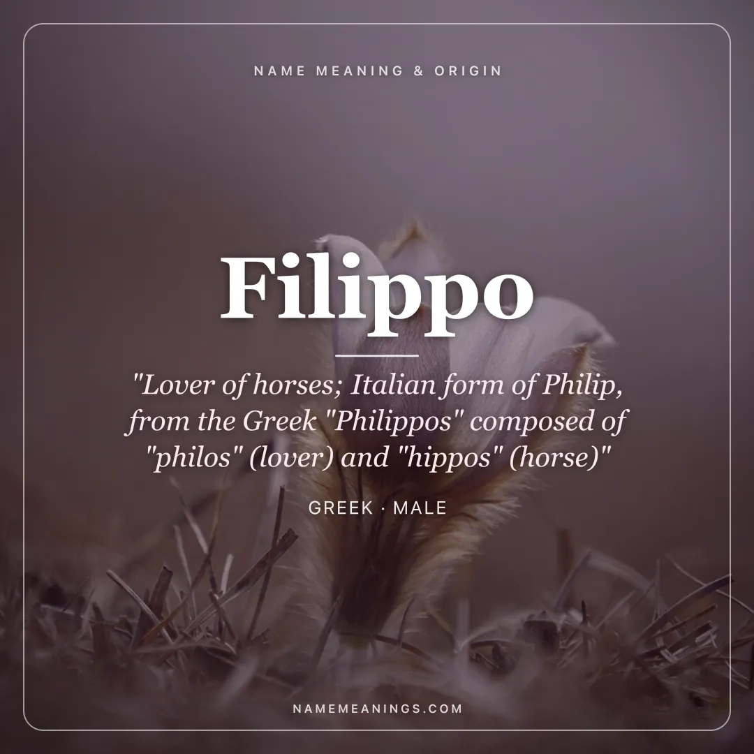 Filippo name meaning "Lover of horses; Italian form of Philip, from the Greek "Philippos" composed of "philos" (lover) and "hippos" (horse)" - Greek male name share card | NameMeanings