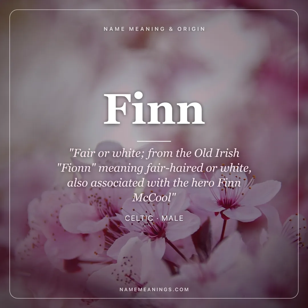 Finn name meaning "Fair or white; from the Old Irish "Fionn" meaning fair-haired or white, also associated with the hero Finn McCool" - Celtic male name share card | NameMeanings