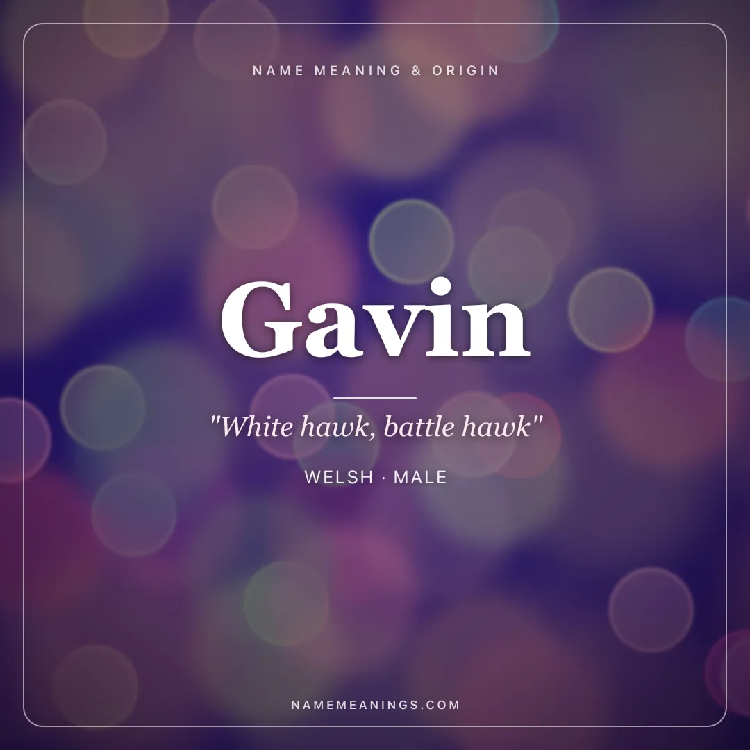 Gavin name meaning "White hawk, battle hawk" - Welsh, Scottish male name share card | NameMeanings