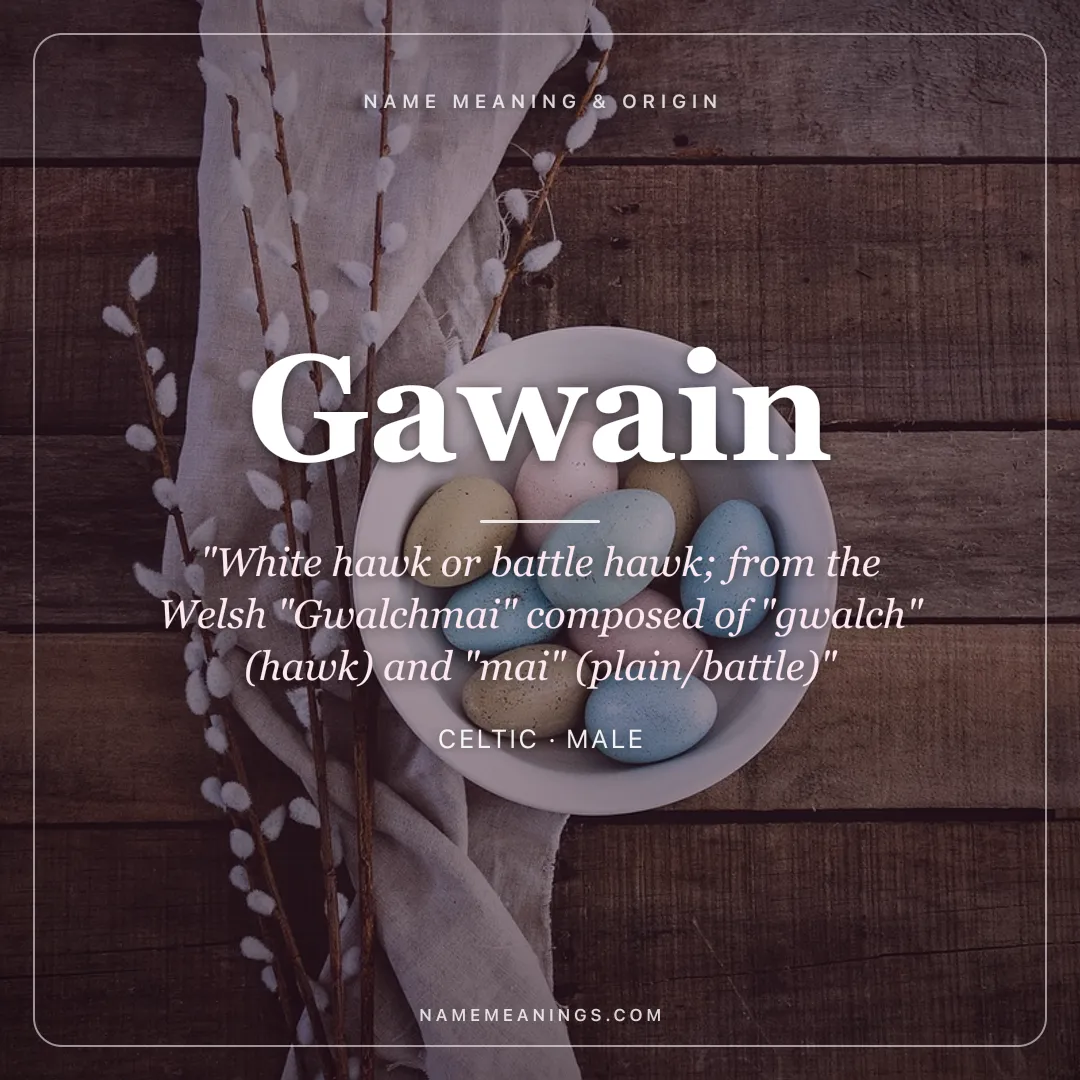 Gawain name meaning "White hawk or battle hawk; from the Welsh "Gwalchmai" composed of "gwalch" (hawk) and "mai" (plain/battle)" - Celtic male name share card | NameMeanings