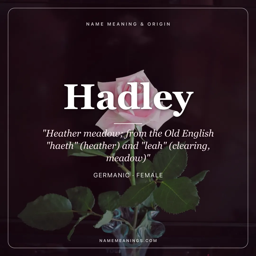 Hadley name meaning "Heather meadow; from the Old English "haeth" (heather) and "leah" (clearing, meadow)" - Germanic female name share card | NameMeanings