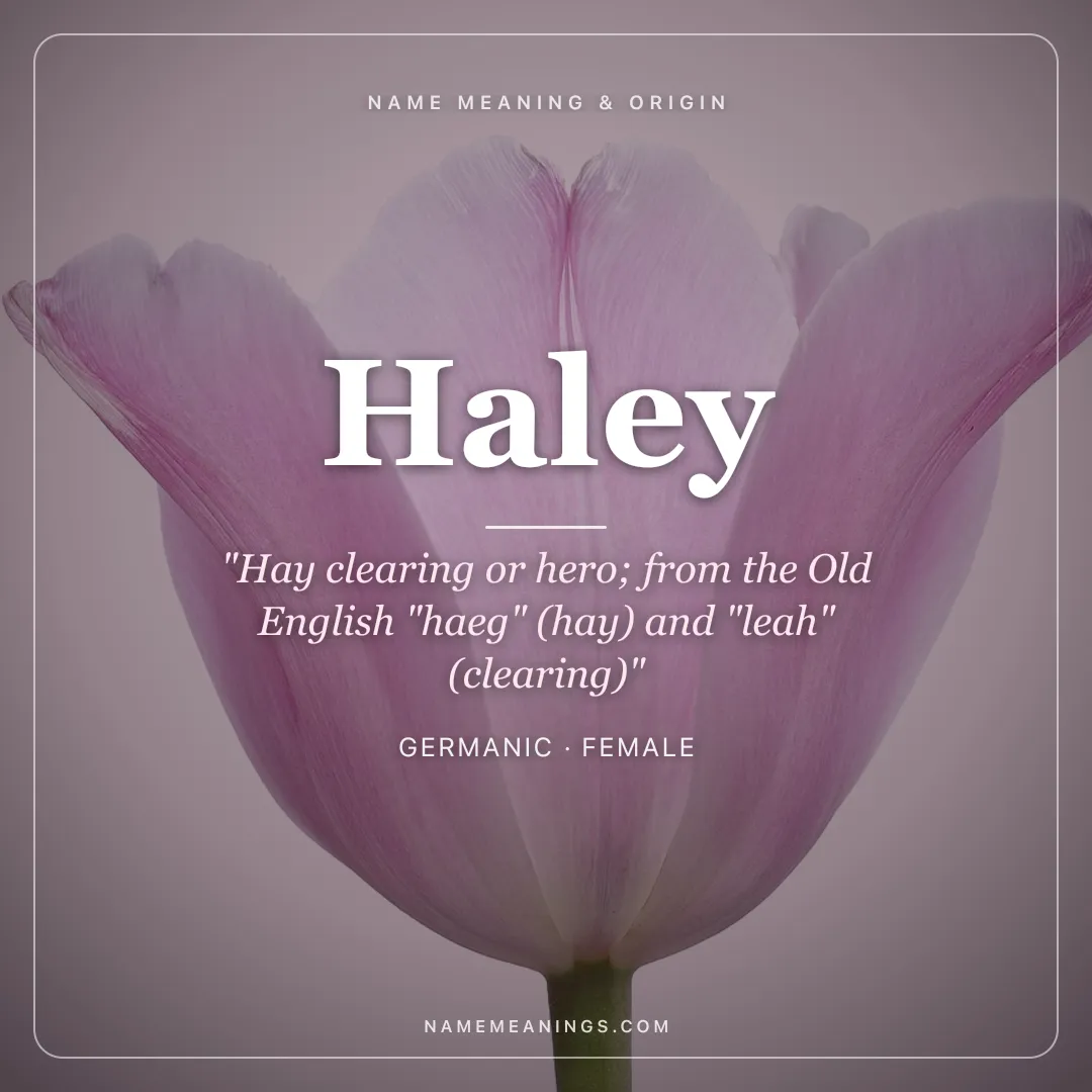 Haley name meaning "Hay clearing or hero; from the Old English "haeg" (hay) and "leah" (clearing)" - Germanic female name share card | NameMeanings