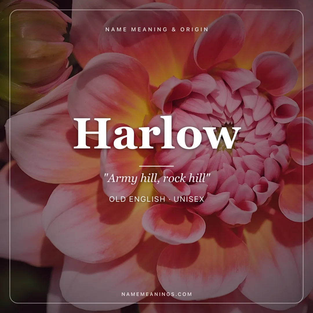Harlow name meaning "Army hill, rock hill" - Old English unisex name share card | NameMeanings