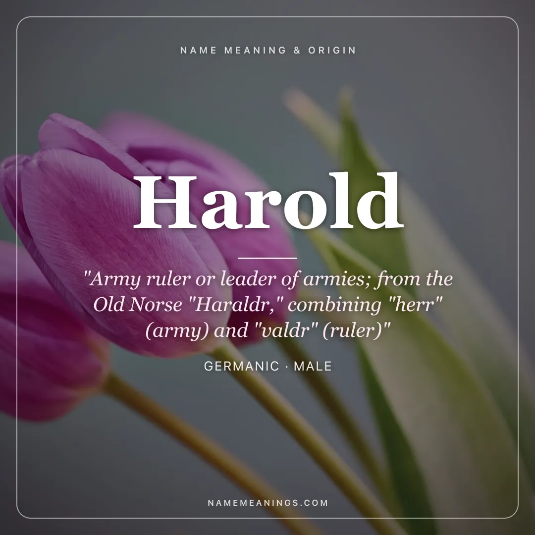 Harold name meaning "Army ruler or leader of armies; from the Old Norse "Haraldr," combining "herr" (army) and "valdr" (ruler)" - Germanic male name share card | NameMeanings