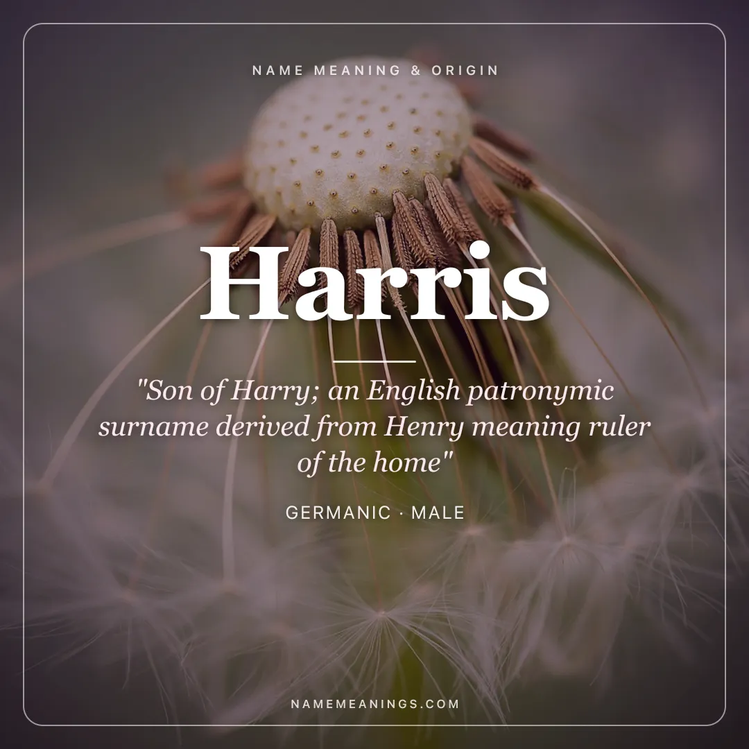 Harris name meaning "Son of Harry; an English patronymic surname derived from Henry meaning ruler of the home" - Germanic male name share card | NameMeanings