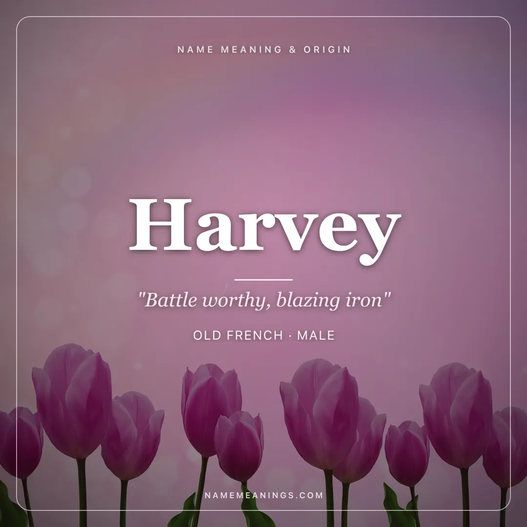 Harvey name meaning "Battle worthy, blazing iron" - Old French, Celtic male name share card | NameMeanings