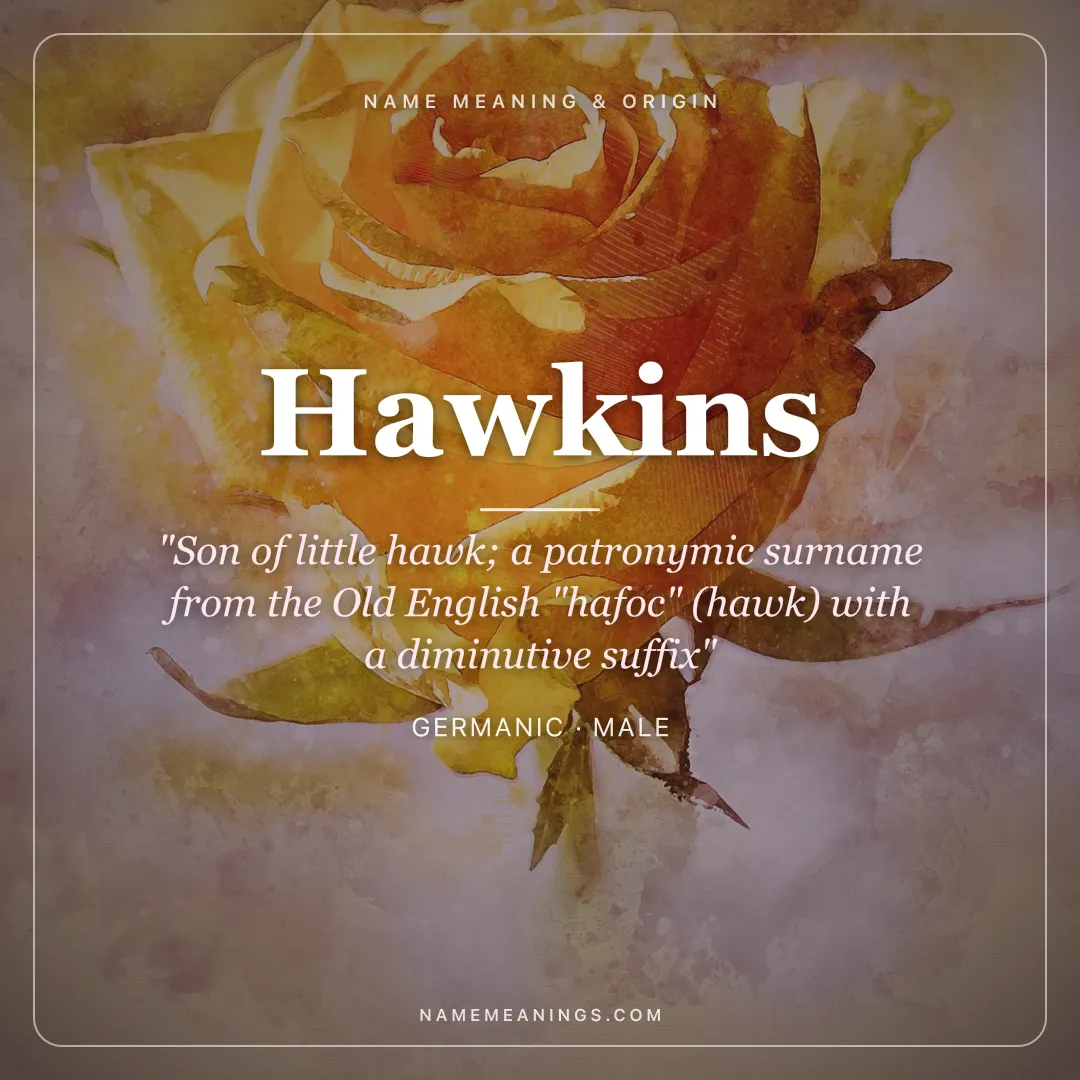 Hawkins name meaning "Son of little hawk; a patronymic surname from the Old English "hafoc" (hawk) with a diminutive suffix" - Germanic male name share card | NameMeanings