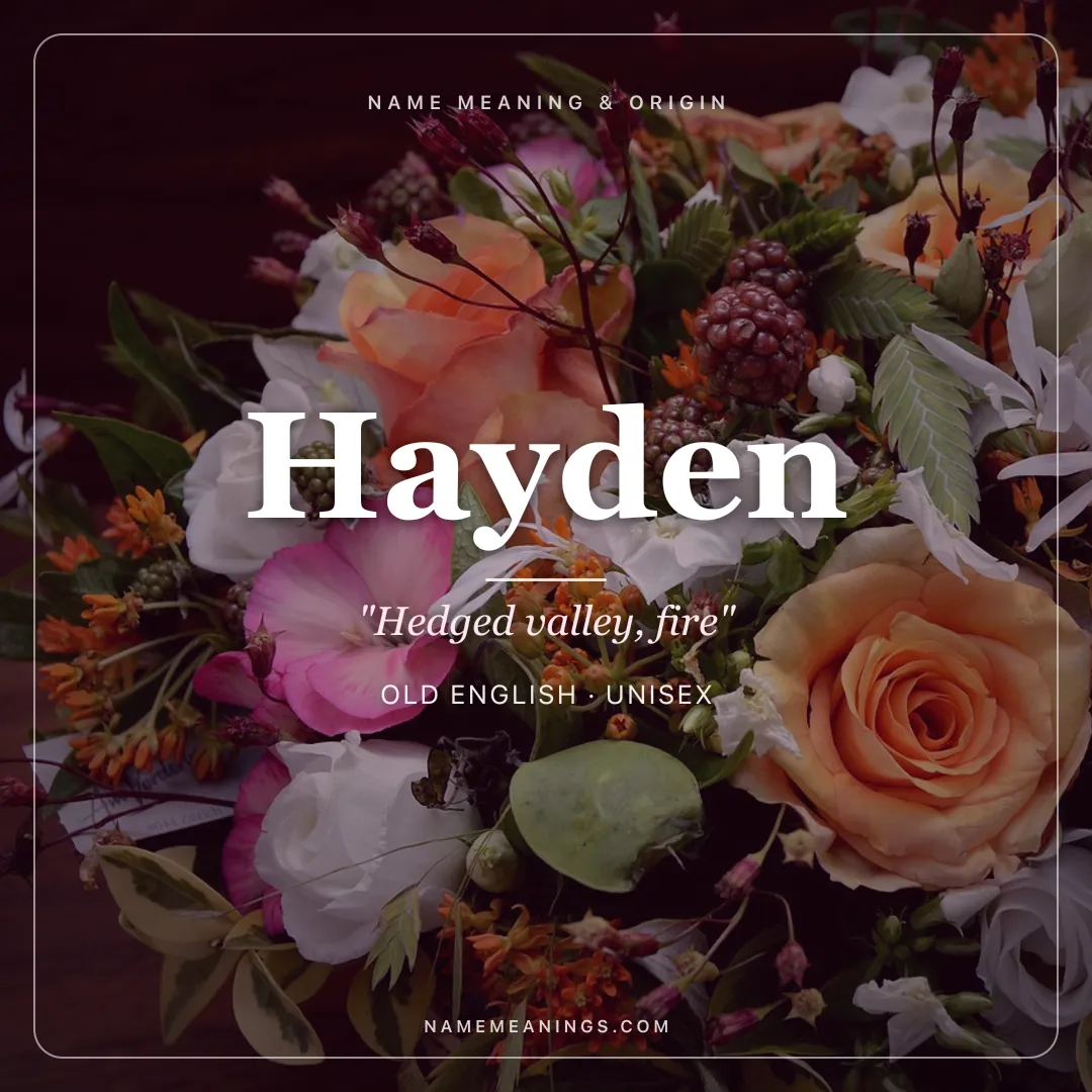 Hayden name meaning "Hedged valley, fire" - Old English unisex name share card | NameMeanings