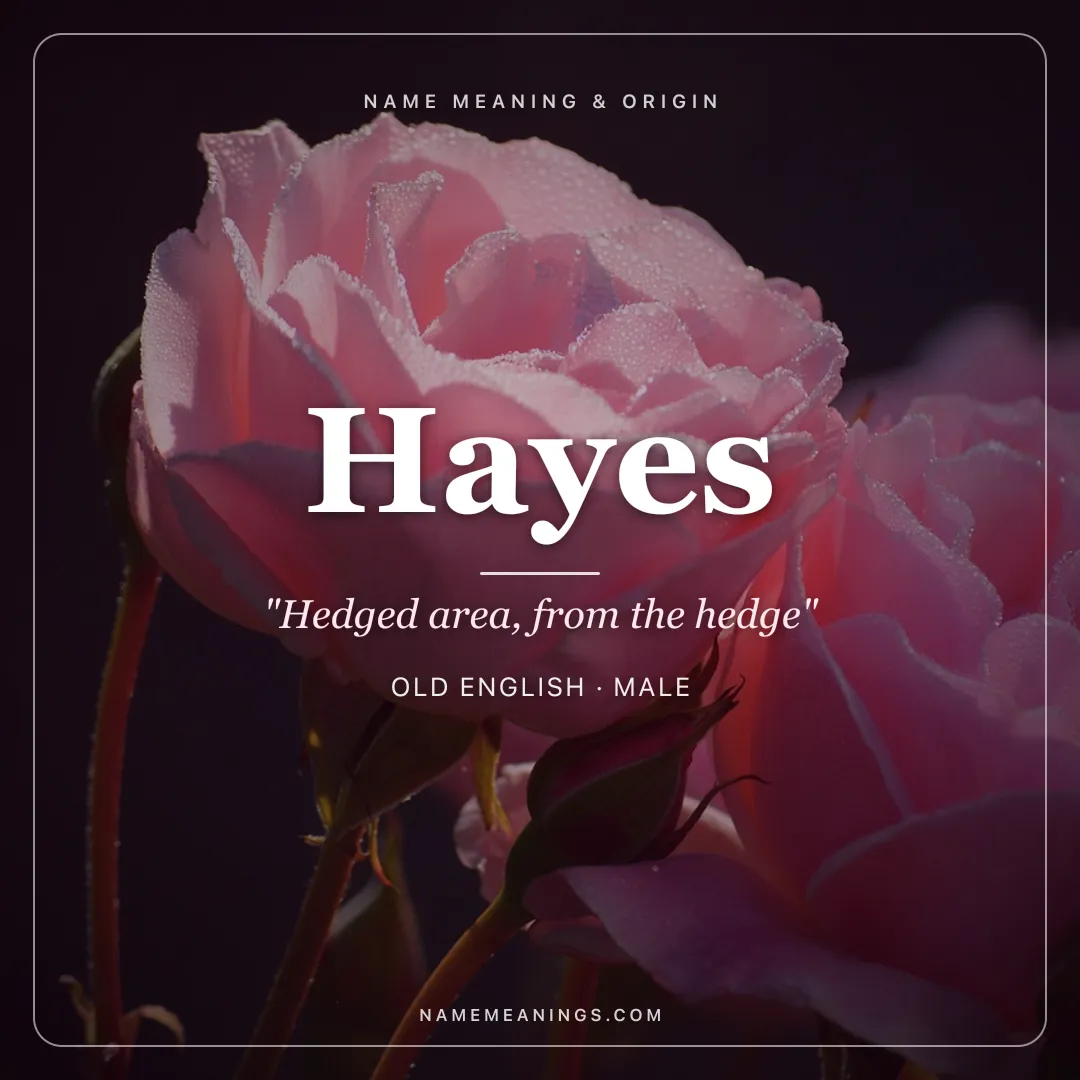 Hayes name meaning "Hedged area, from the hedge" - Old English male name share card | NameMeanings