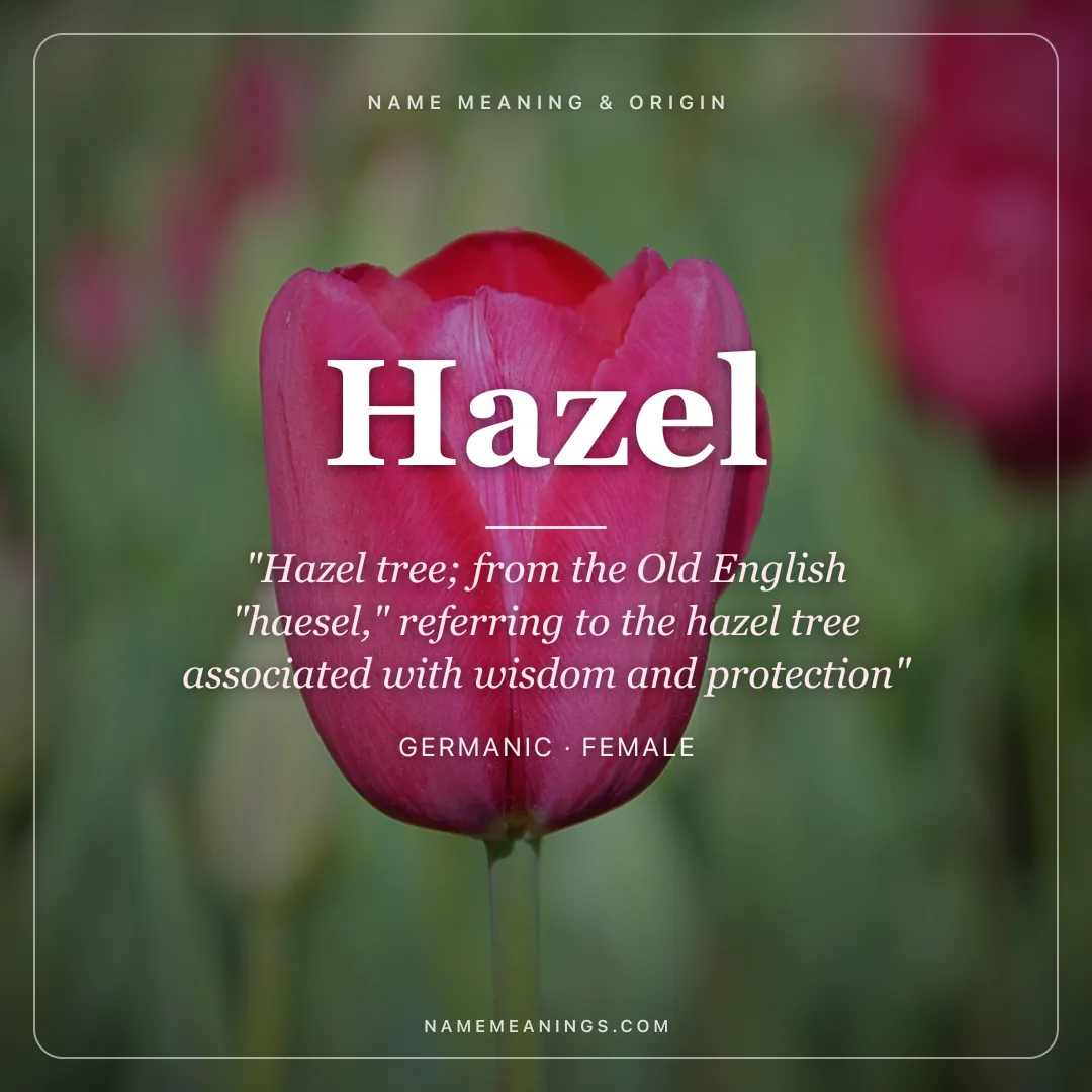 Hazel name meaning "Hazel tree; from the Old English "haesel," referring to the hazel tree associated with wisdom and protection" - Germanic female name share card | NameMeanings
