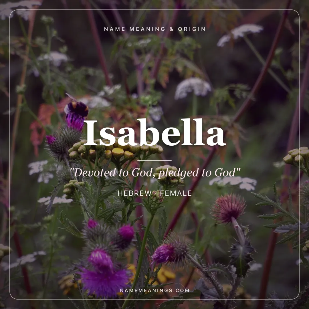 Isabella name meaning "Devoted to God, pledged to God" - Hebrew, Italian, Spanish female name share card | NameMeanings
