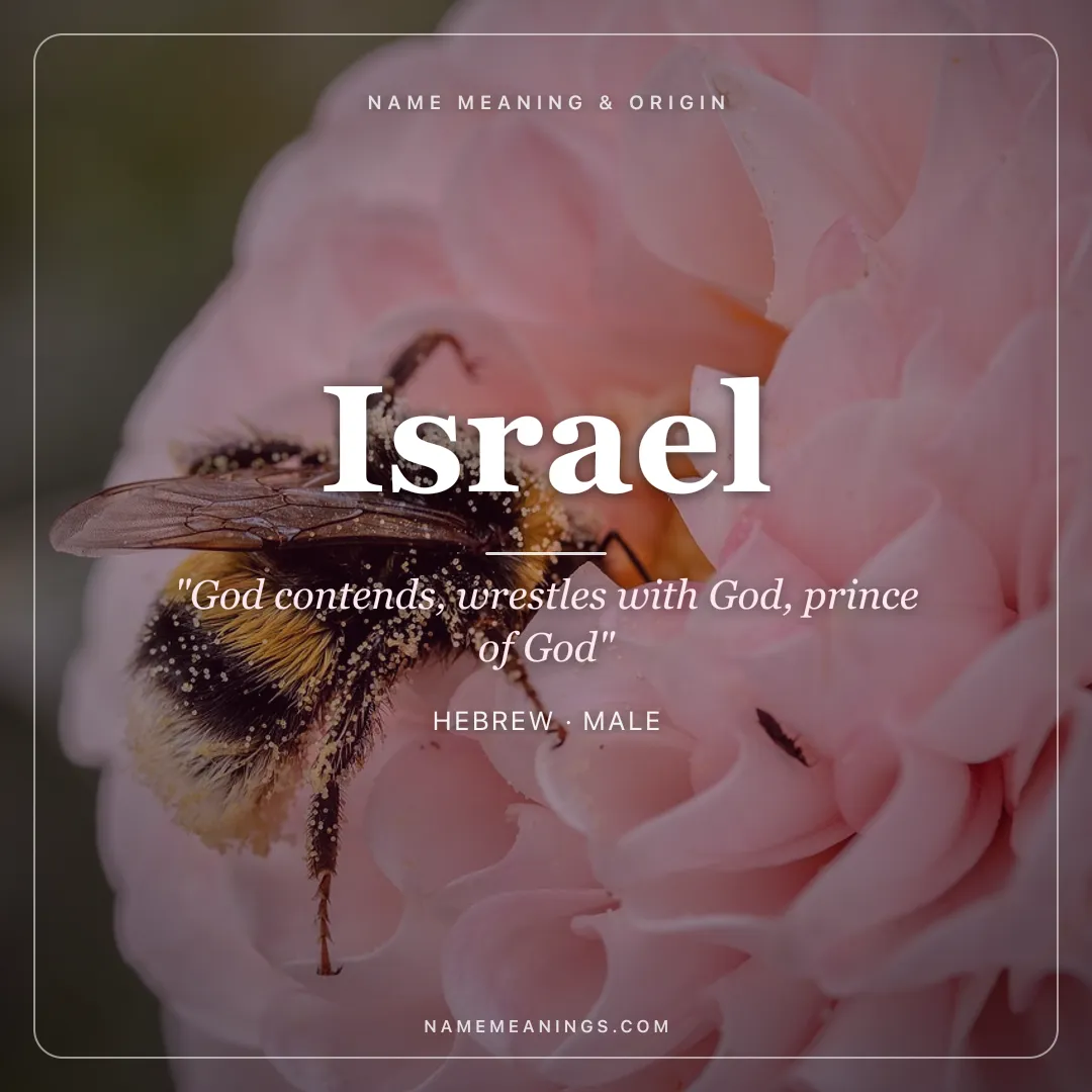 Israel name meaning "God contends, wrestles with God, prince of God" - Hebrew male name share card | NameMeanings
