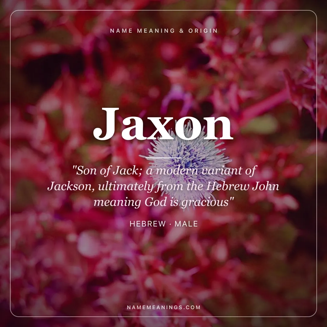 Jaxon name meaning "Son of Jack; a modern variant of Jackson, ultimately from the Hebrew John meaning God is gracious" - Hebrew male name share card | NameMeanings