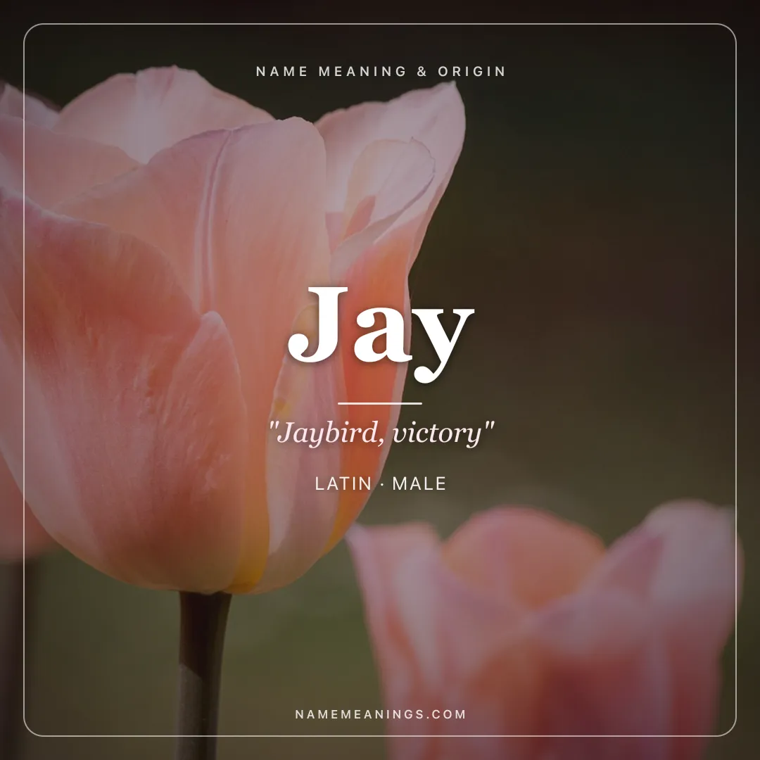 Jay name meaning "Jaybird, victory" - Latin, Sanskrit male name share card | NameMeanings